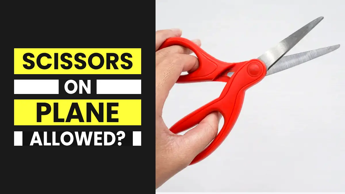 Can you bring scissors on a plane in carry-on or checked luggage | luggage lovers