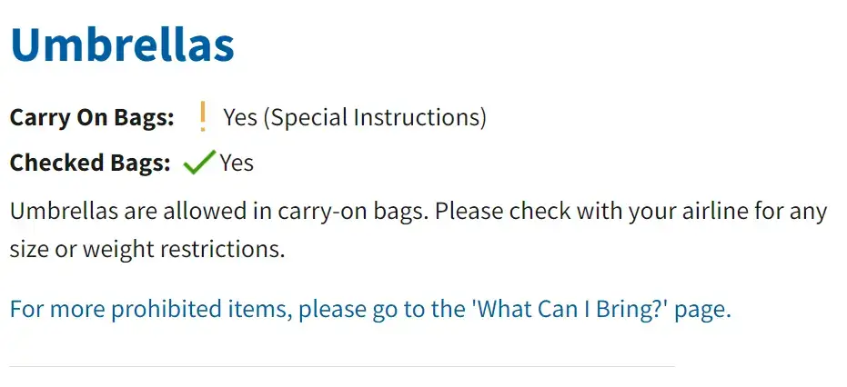 Can You Bring an Umbrella on a Plane in Carry-on in 2024?