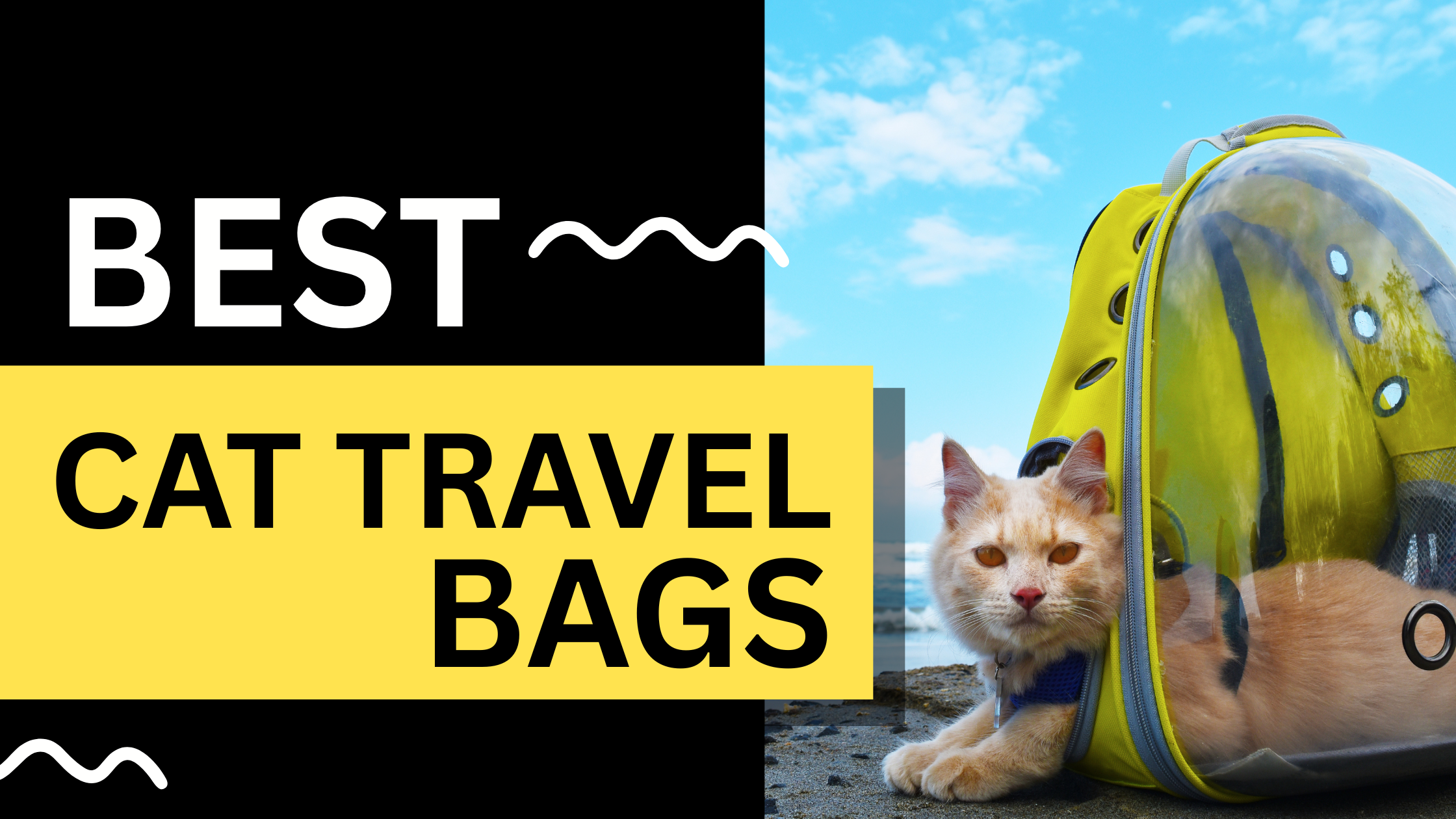 Best Cat Travel Bags for Safe and Comfortable Journeys