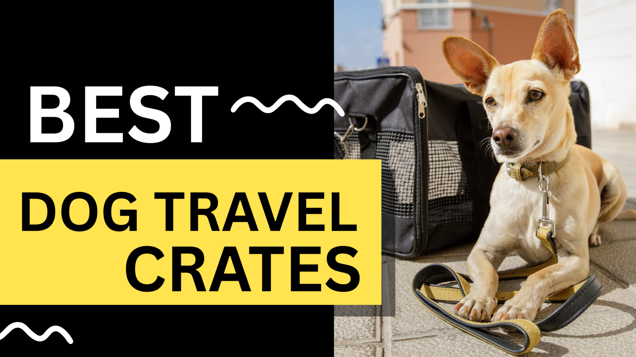 View of Best Dog Travel Crates for Safe and Comfortable Journeys - LL